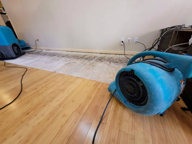 Reliable Basement Flood Cleanup contractor in Rochester, IL by Hirex Water Damage
