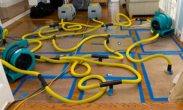 Professional Basement Flood Cleanup technician working in Rochester, IL